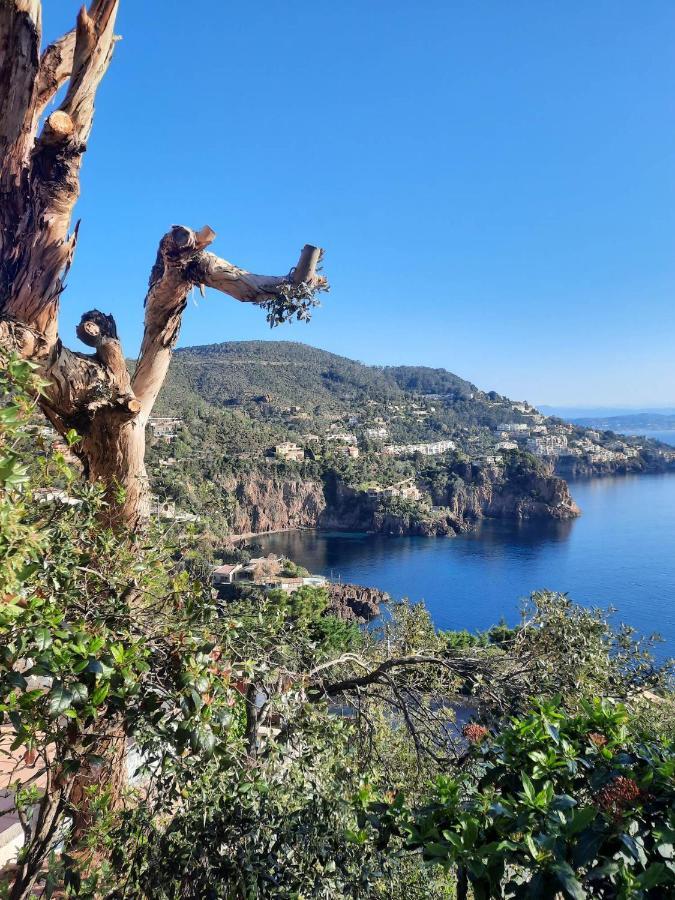 Magic Mer Saint-Raphaël Zewnętrze zdjęcie